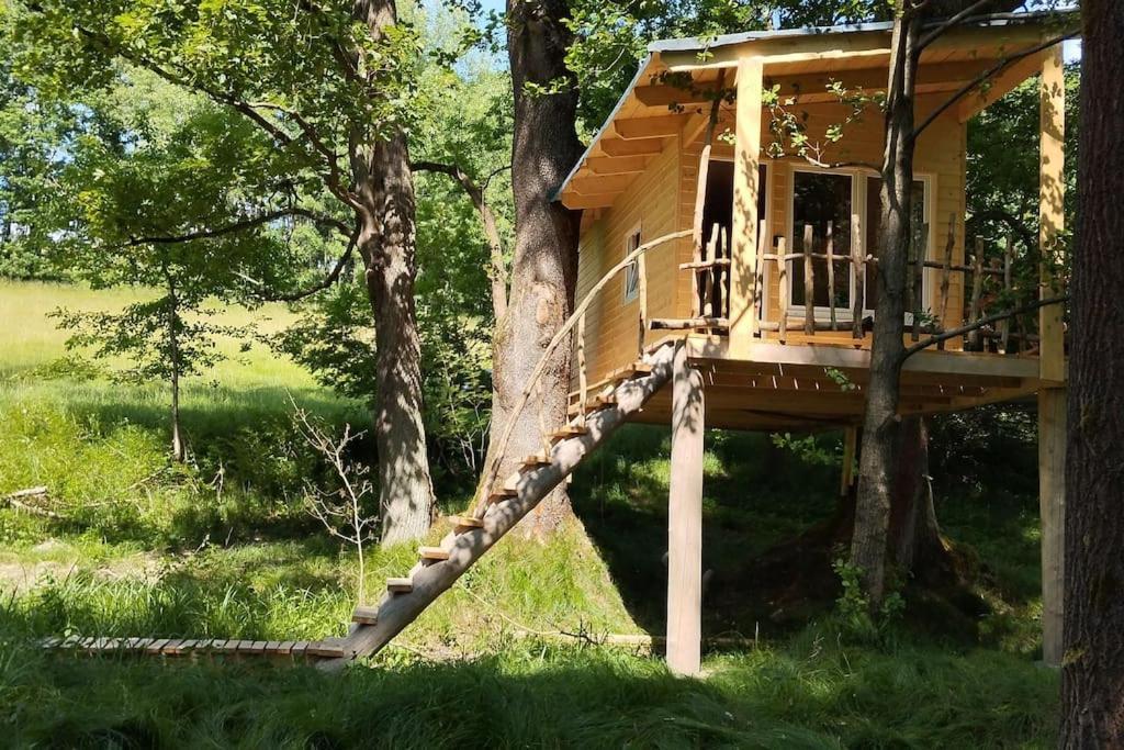 Treehouse Lea Apartment Mikulasovice Exterior photo